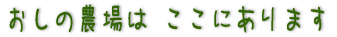 ̔_ ɂ܂ 