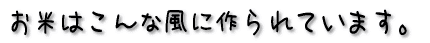 Ă͂ȕɍĂ܂B 