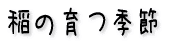 ̈G