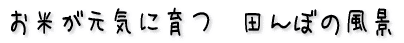 ĂCɈ@cڂ̕i 