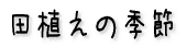cA̋G